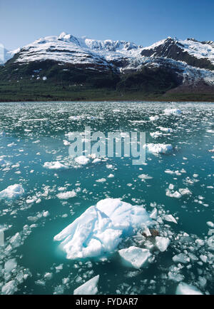 Berge und Gletscher in Alasksa Stockfoto