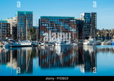 Neubauten auf Ipswich Waterfront Kai Stockfoto