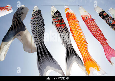 Japanischen Karpfen Kite Streamer, Dekoration Koinobori am Tag des Kindes Stockfoto