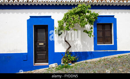 Bunt bemalten Hausfassade mit Weinstock Baum in die gepflasterten Gassen der alten maurischen Stadt Mértola, Portugal. Stockfoto