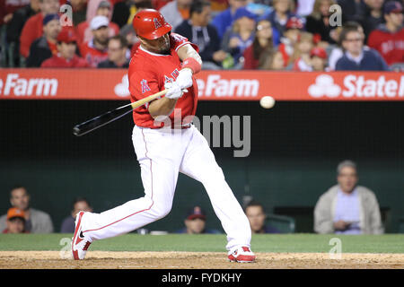 Anaheim, Kalifornien, USA. 25. April 2016. Los Angeles Angels Designated Hitter Albert Pujols #5 trifft seine 564. Homer unter Sohle vorbei Reggie Jackson für 13. auf dem Endstück Karriere Führer Brett im Spiel zwischen den Kansas City Royals und die Los Angeles Angels of Anaheim, Angel Stadium in Anaheim, CA. Credit: Cal Sport Media/Alamy Live News Stockfoto