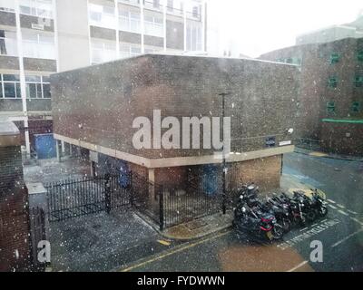 London, UK. 26. April 2016. Unerwartete Schnee im April, London, UK, 26. April 2016 Credit: Nastja M/Alamy Live News Stockfoto