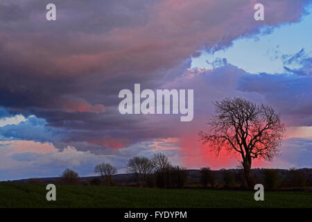 Großbritannien Wetter. am frühen Abend Sonnenuntergang mit threating Gewitterwolken über Green Erz in Somerset in der Nähe der Stadt Wells. Robert Timoney/AlamyliveNews. Stockfoto