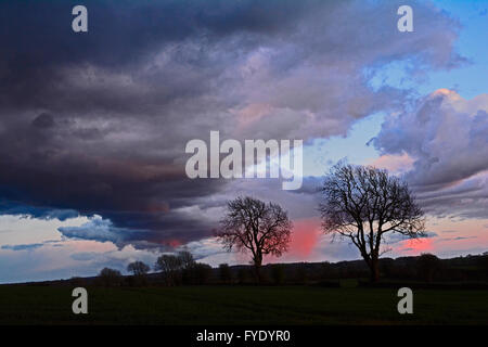 Großbritannien Wetter. am frühen Abend Sonnenuntergang mit threating Gewitterwolken über Green Erz in Somerset in der Nähe der Stadt Wells. Robert Timoney/AlamyliveNews. Stockfoto