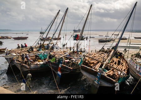 Viele Trading-Daus im Hafen von Stonetown, Zanzibar Stockfoto