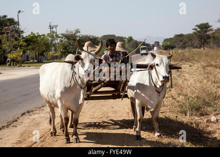 Birmanischen Familie von Kleinbauern mit ihren Trampen, (neu-Bagan - Myanmar). Famille Birmane et Sohn Attelage de Zébus. Stockfoto