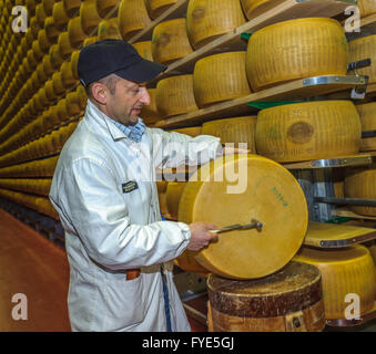 PARMA, Italien - 10. März 2014: Parmesan Käse Qualitätstest durch Battitore, master grader Stockfoto