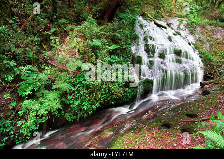 Larn Sa Dej Wasserfall im Doi Inthanon Nationalpark, Chiang Mai, Thailand. Stockfoto