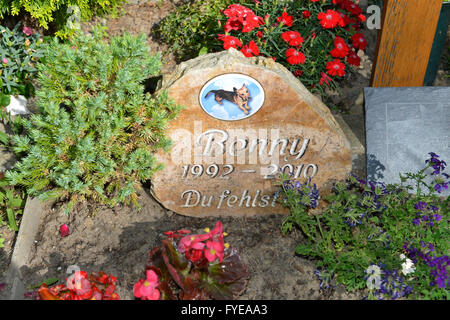 Tierfriedhof, Hausvaterweg, Falkenberg, Lichtenberg, Berlin, Deutschland Stockfoto