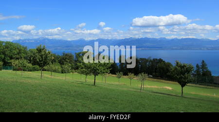 Blick auf den Genfer See und die Landschaft der Kanton Waadt, Stockfoto