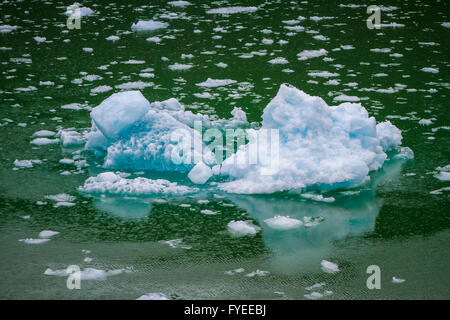 Kleine Eisschollen in der Nähe von Brujo Gletscher, Asien Fjord, Chile, Südamerika. Stockfoto