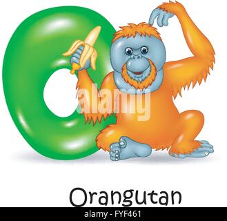 Illustration von O-Brief für Orang-Utan Stock Vektor