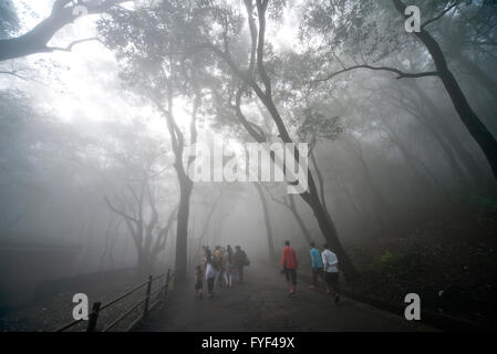 Das Bild des Waldes aufgenommen in Matheran, Maharashtra, Indien Stockfoto