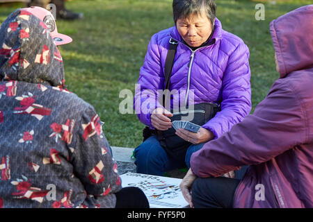 Chinesisch-amerikanische Frauen Spielkarten In Portsmouth Square, Chinatown, San Francisco. Stockfoto