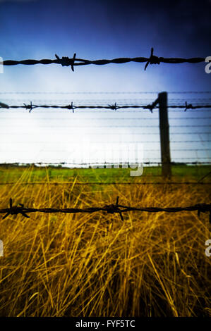Stacheldrahtzaun. Alten Gefängnis Stockfoto
