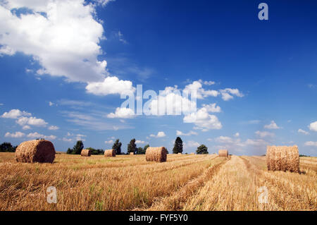 Haystacks in the field Stockfoto
