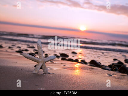 Seestern am Strand von romantischen Sonnenuntergang Stockfoto