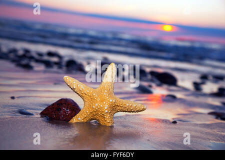 Seestern am Strand von romantischen Sonnenuntergang Stockfoto