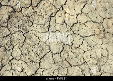 Risse im getrockneten Boden Stockfoto