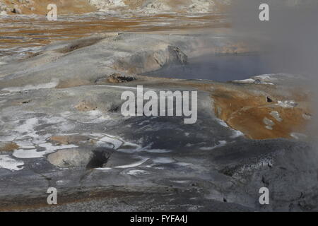 Mudpot im Hverir Stockfoto