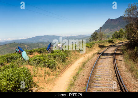 Sri Lanka, Nuwara Eliya, Nanu Oya, Frauen Tee neben Highland Eisenbahn Stockfoto