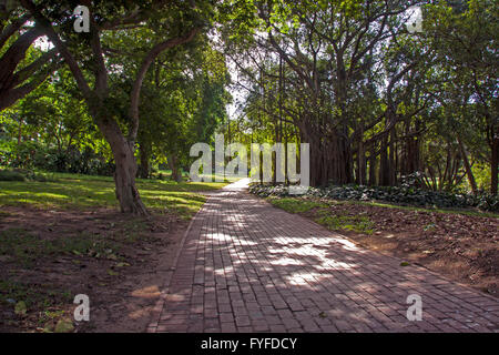 Backstein gepflasterten Gehweg in botanischen Gärten im Schatten Landschaft Stockfoto