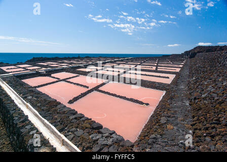 Salzgewinnung Pflanze bei Salinas La Palma Stockfoto