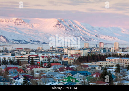 Blick über Reykjavík, Hauptstadt Island im winter Stockfoto