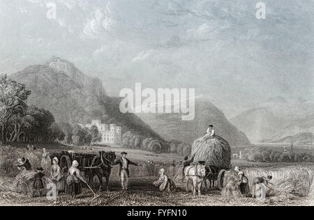Korn-Ernte, Inveraray Castle, ein Landhaus in der Nähe von Inveraray, Grafschaft Argyll, Schottland Stockfoto