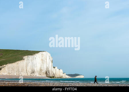 Eine Dog-Walker am Strand von den Seven Sisters Klippen im Cuckmere Haven, in der Nähe von Seaford, Ostsussex. Stockfoto