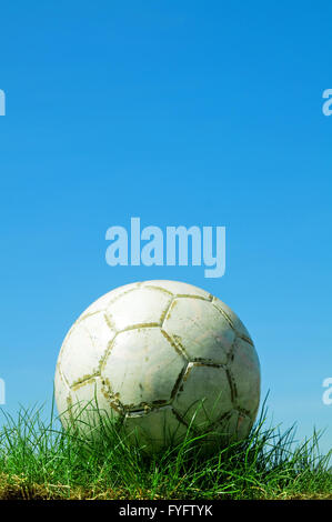 Soccer Ball stehen auf dem Rasen Stockfoto