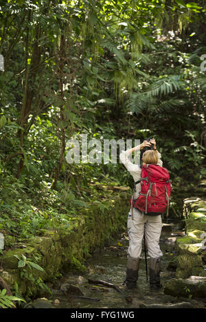 CHIAPAS, PALENQUE, Mexiko – 1. März 2016: junge weibliche Freizeitreisenden beschäftigt sich mit dem Fernglas in Palenque Stockfoto