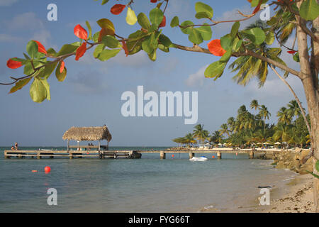 Ein malerischen Blick auf die tropische Insel - Urlaub Strand Landschaft - Pigeon Point - Tobago - Karibik Stockfoto