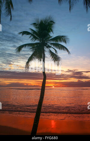 Ein Sonnenaufgang auf der tropischen Insel Stockfoto