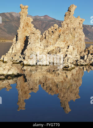 Lake Tufa Stalagmiten spiegelt sich in den Gewässern Stockfoto