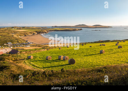 Strohballen auf einem Feld oben Whitesands Bay Blick auf Ramsey Island Carn Llidi Weg auf der Nordseite Pembrokeshire entnommen Stockfoto