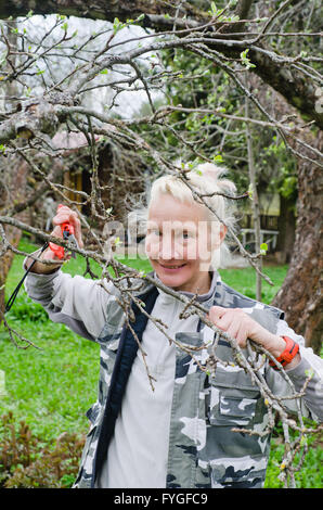 Frau schneidet einen Zweig an einem Apfelbaum einen Frühling im Garten Stockfoto