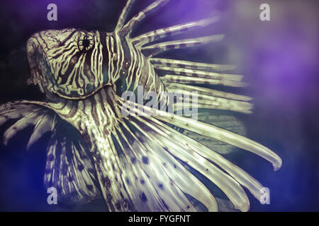 Abbildung mit einem digital-Tablette Drachenkopf gefährlich, lila Meer Hintergrund gemacht Stockfoto