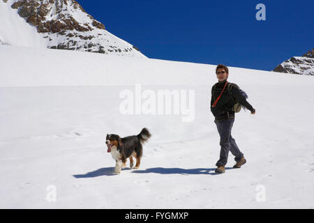 Ein Mann und sein Hund Spaziergänge am "Top of Europe" auf dem Jungfraufirn Gletscher, Jungfraujoch, Berner Oberland, Schweiz Stockfoto