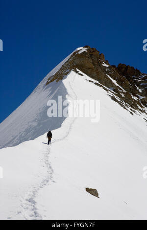 Ein Bergsteiger beginnt gegen den Nordwest-Grat des Kranzberg, gesehen vom Obers Mönchjoch, Jungfrau-Aletsch, Schweiz Stockfoto