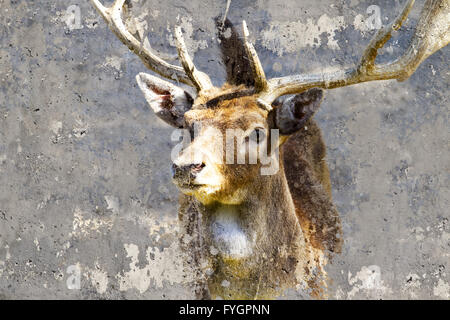Künstlerischen Bild mit Hintergrund Textur Hirschkopf Stockfoto