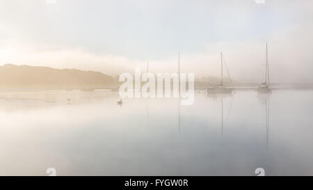 Nebligen Sonnenaufgang am Fluss Cleddau nahe Lawrenny - Pembrokeshire Stockfoto