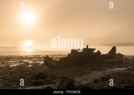 Nebligen Sonnenaufgang am Fluss Cleddau nahe Lawrenny - Pembrokeshire Stockfoto