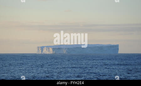 Tabellarische Eisberg im südlichen Ozean in der Nähe der südlichen Orkneyinseln bei Sonnenuntergang. Süd-Orkney-Inseln. Stockfoto