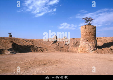 Israel, Nahal Shehoret Steinbruch mit Regenschirm Dorn Akazien (Acacia Tortilis) und verdrehte Akazien (Acacia Radiana) links auf isolat Stockfoto