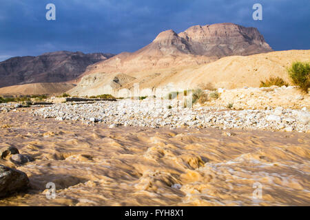 Winter-Sturzflut in der Judäischen Wüste, israel Stockfoto