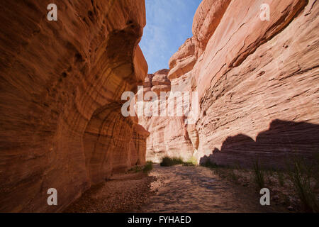 Wadi Zered (Wadi Hassa oder Hasa) im westlichen Jordanien. Ein Sand Stone Canyon mit Frash fließendes Wasser Stockfoto