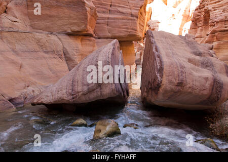 Wadi Zered (Wadi Hassa oder Hasa) im westlichen Jordanien. Ein Sand Stone Canyon mit Frash fließendes Wasser Stockfoto