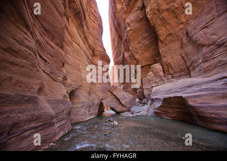 Wadi Zered (Wadi Hassa oder Hasa) im westlichen Jordanien. Ein Sand Stone Canyon mit Frash fließendes Wasser Stockfoto