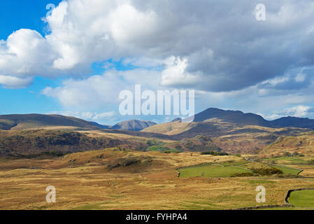 Birker fiel, Nationalpark Lake District, Cumbria, England UK Stockfoto